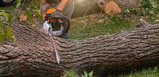 Landscape Design and Installation in Osseo, WI